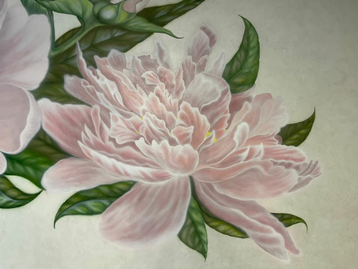 розовые пионы, картины с пионами, mia tarney пионы, пион botanical, пионы