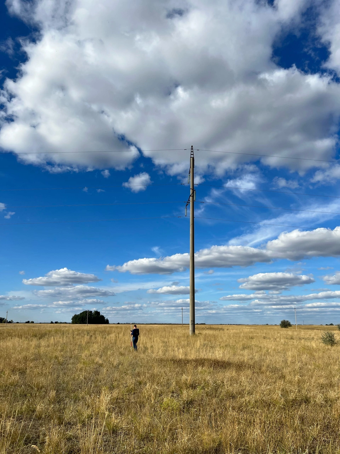 поле небо, небо пейзаж, природа, поле природа, небо