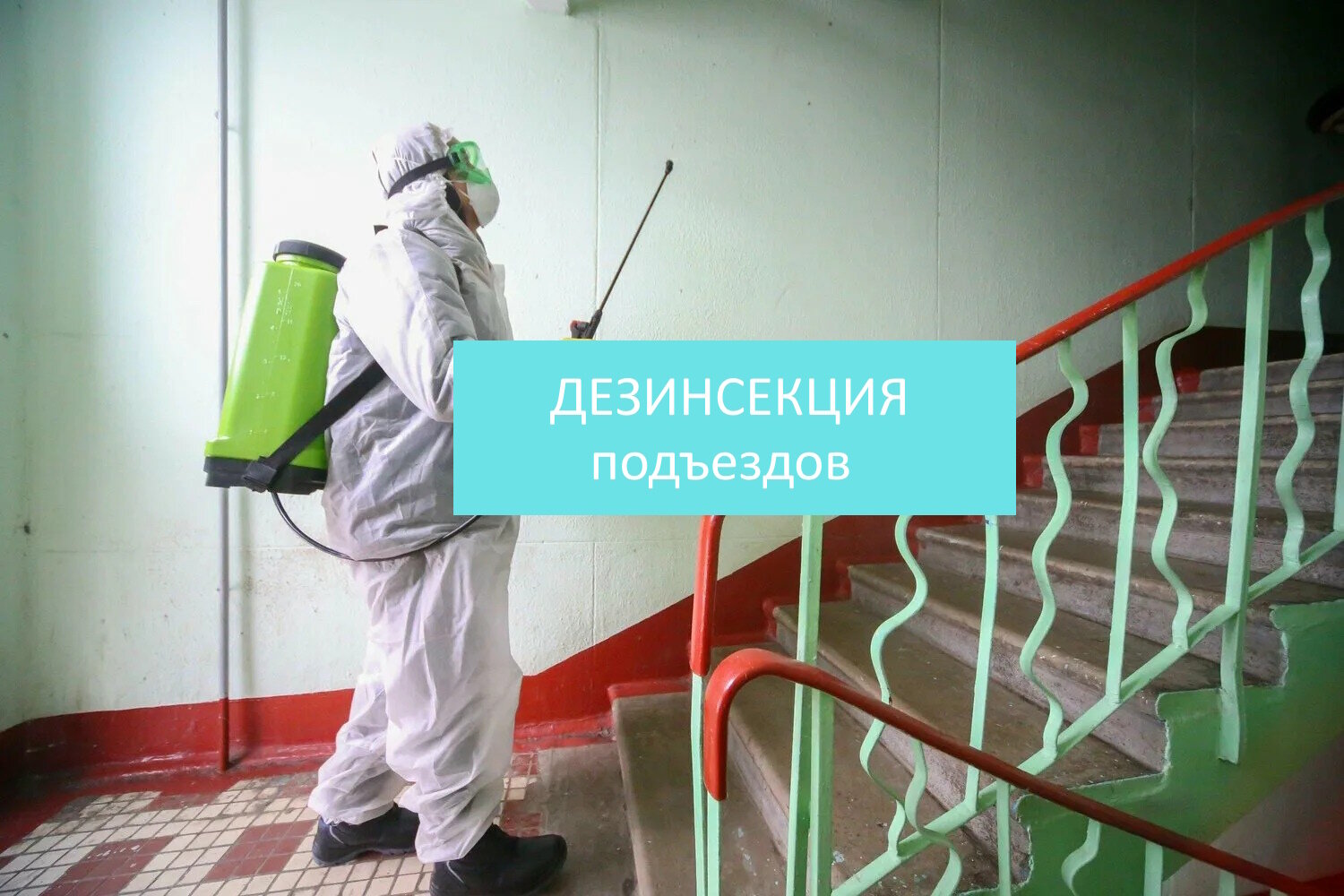 дезинфекция подъездов, дезинфекция помещений, дезинсекция помещений, дезинсекция, дератизация и дезинсекция