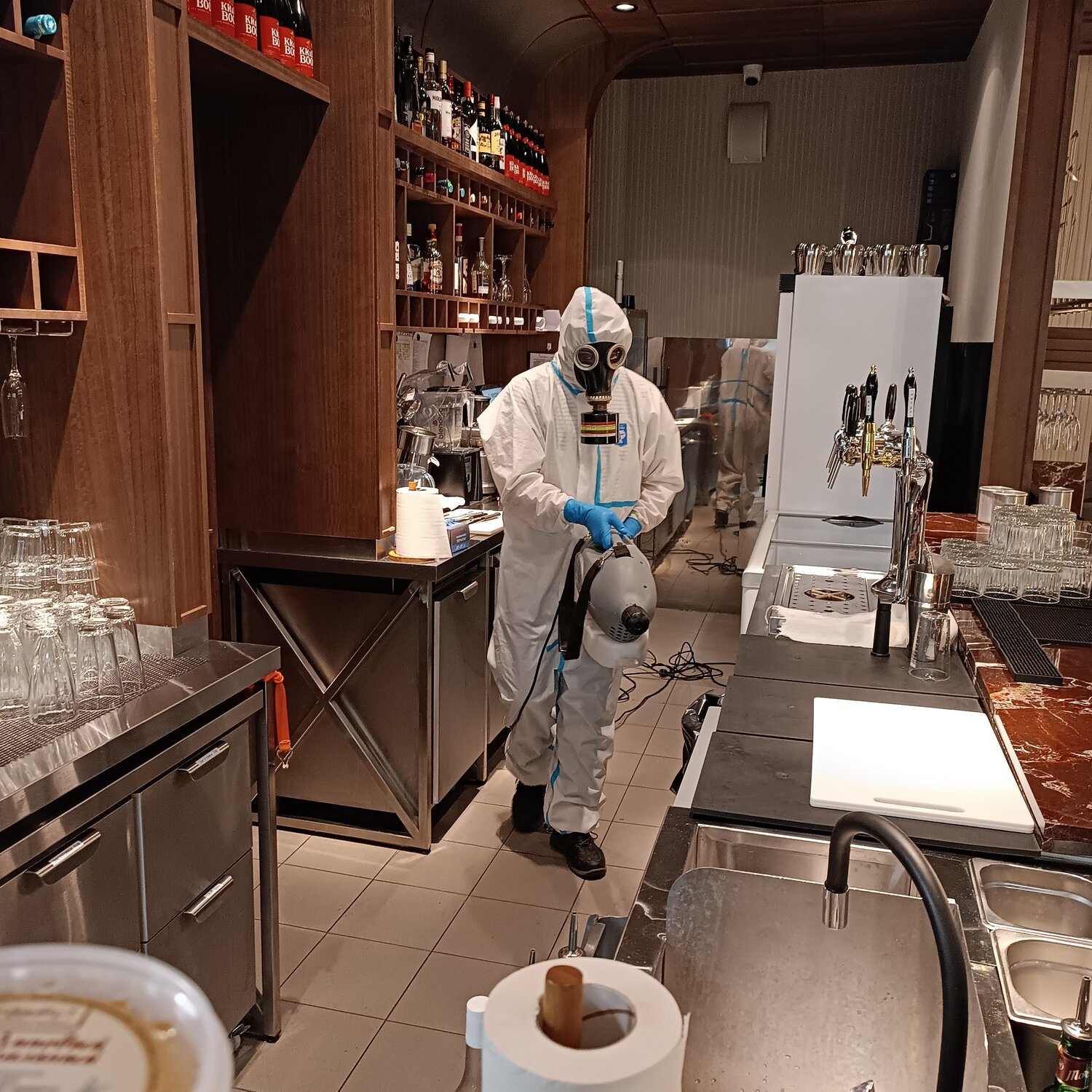 дезинсекция для ресторанов и кафе, дезинсекция, дезинфекция дезинсекция дератизация, дезинфекции, дезинфекция ресторанов