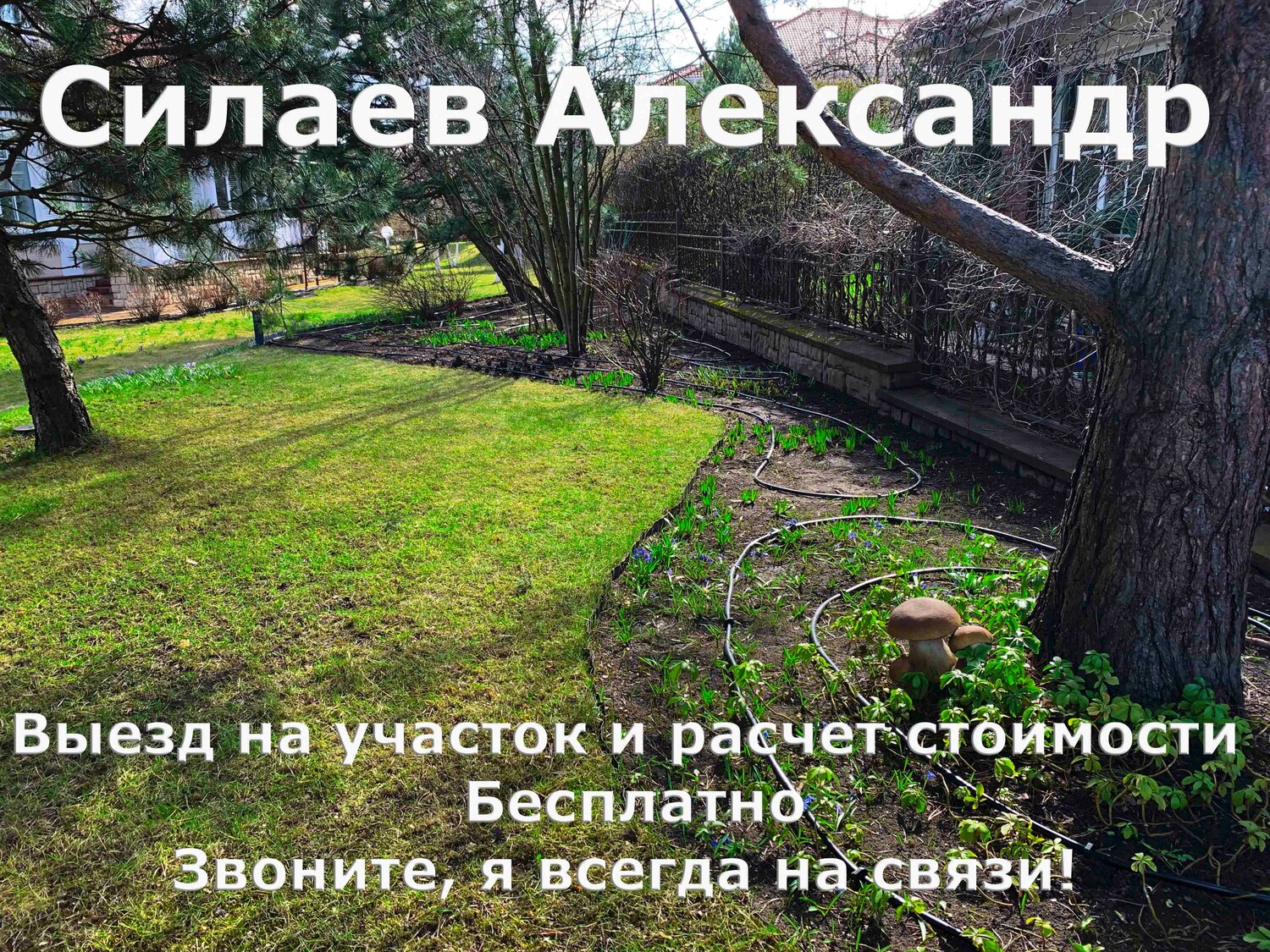 текст, цитаты, в лес, природа, цитаты счастье