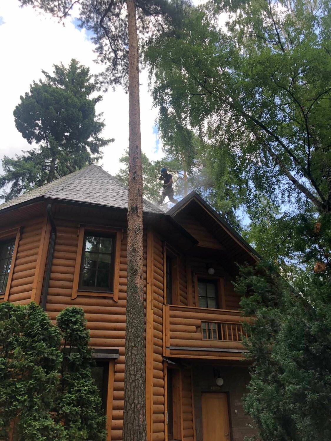 загородный дом, дом в соснах, кп сосновый бор николина гора, коттедж, дом дача