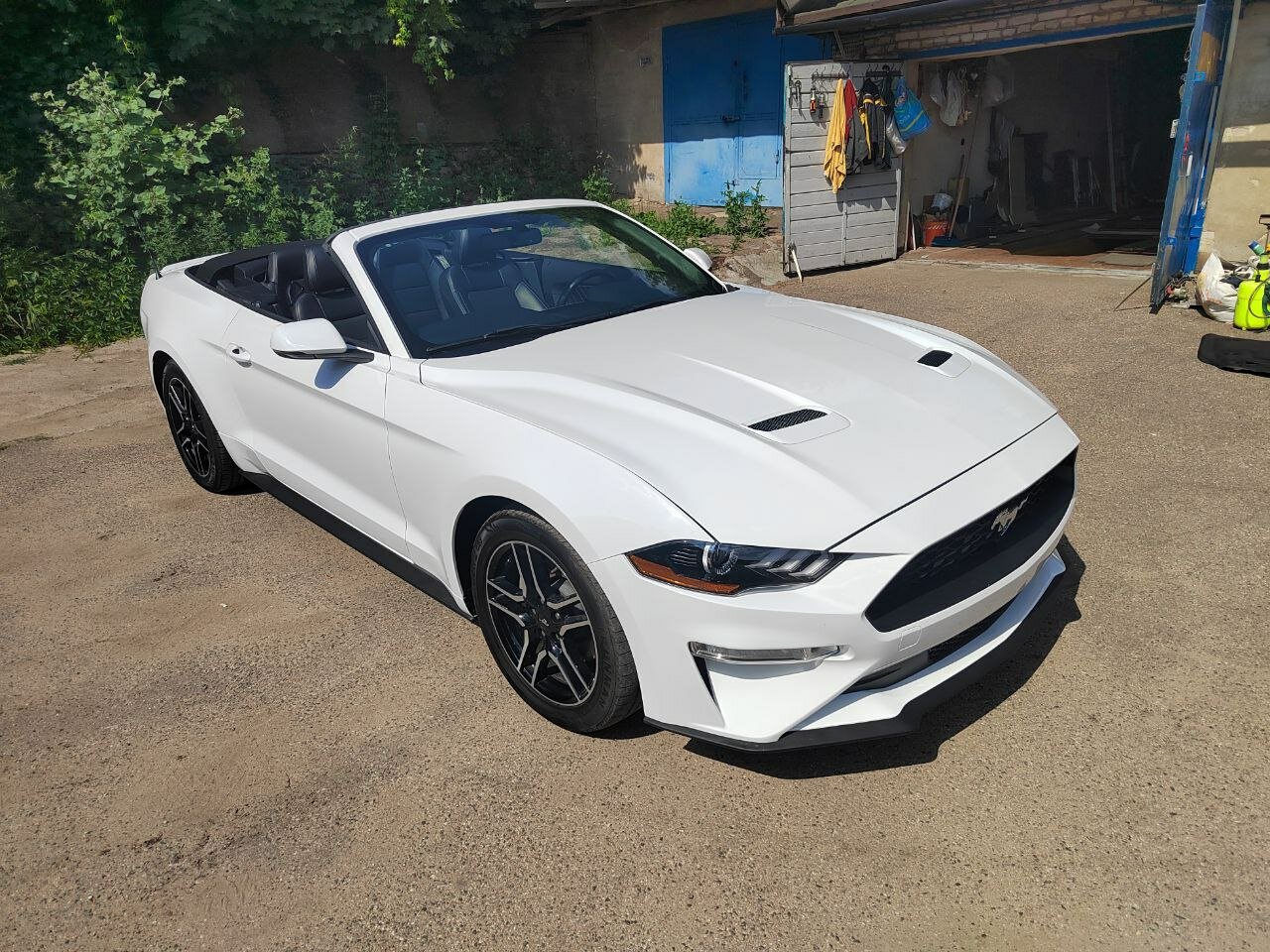 Выкуп автомобилей Ford Mustang в день обращения