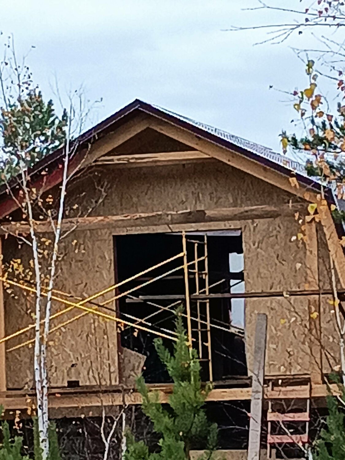 каркасный дом, строительство каркасных домов, дом, дом дача