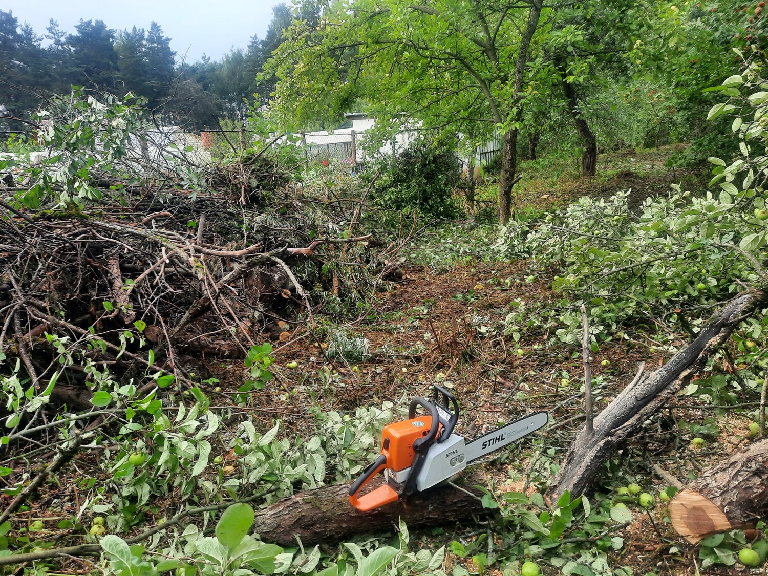 stihl, stihl ms 180, stihl ms 230, stihl ms 250, stihl ms 170