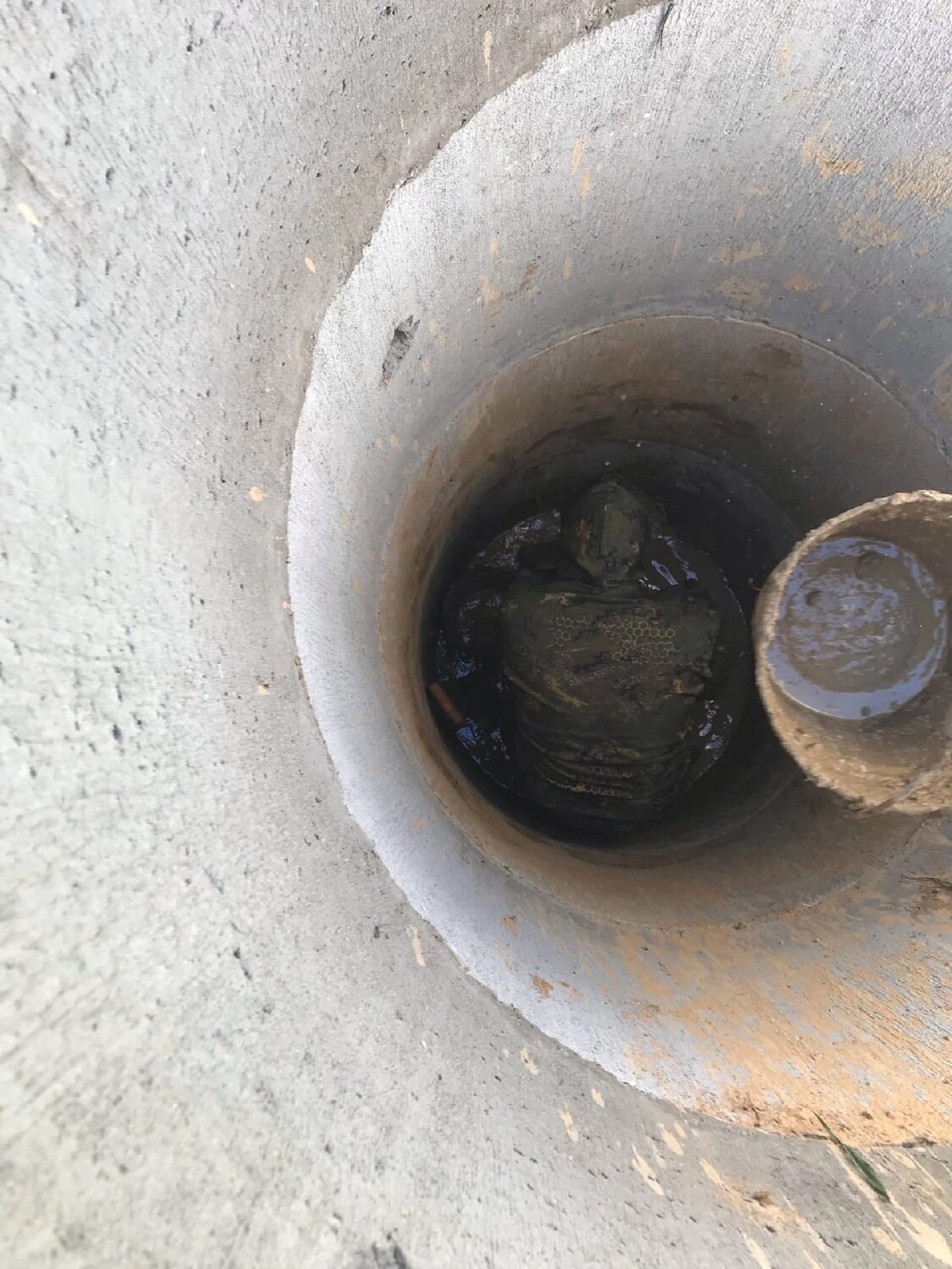 углубление колодца, колодец, плывун в колодце, докопка колодца, чистка колодца