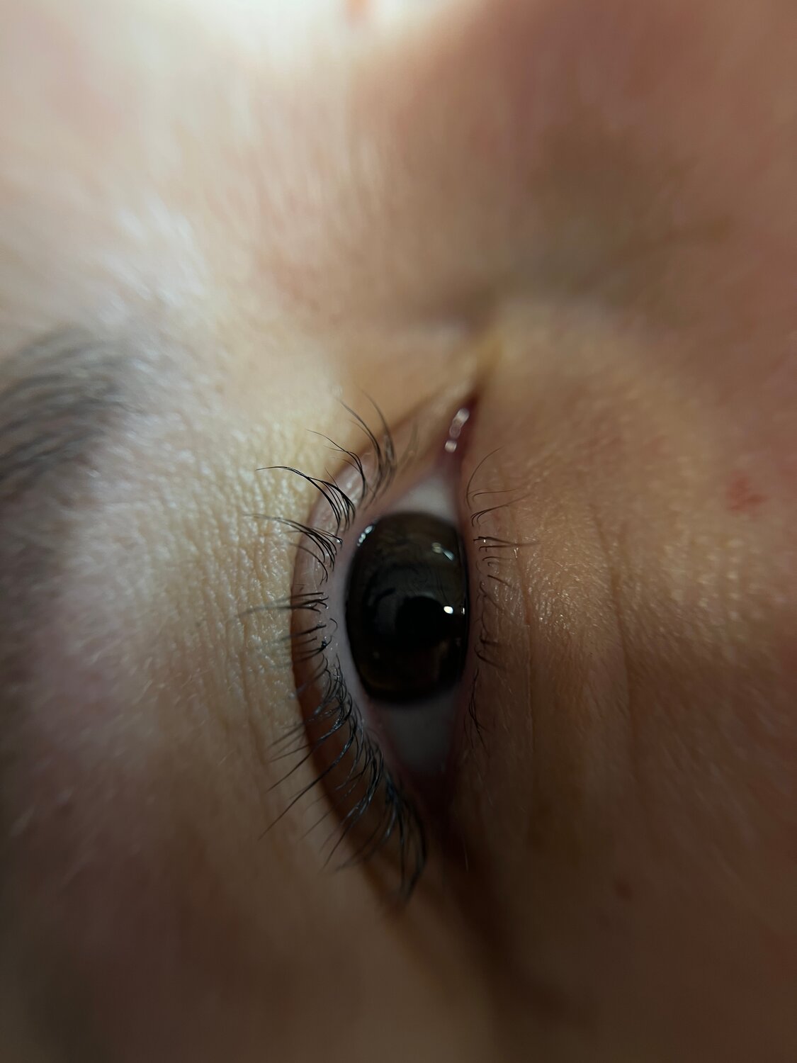 ресницы, закрытые глаза, глаз, красивые ресницы, ламинирование ресниц