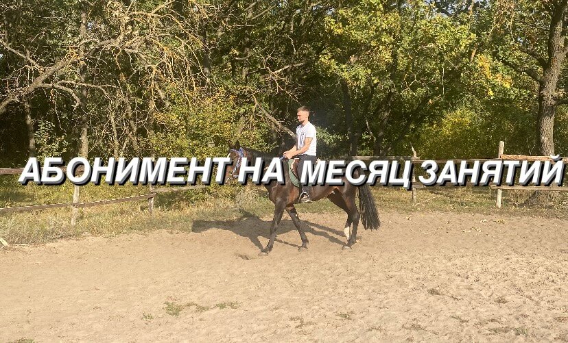 скриншот, лошадь, жеребец, конь, конный спорт