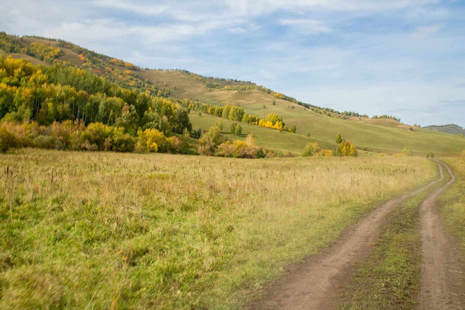башкирия холмы, пейзаж, природа, степная дорога, горы