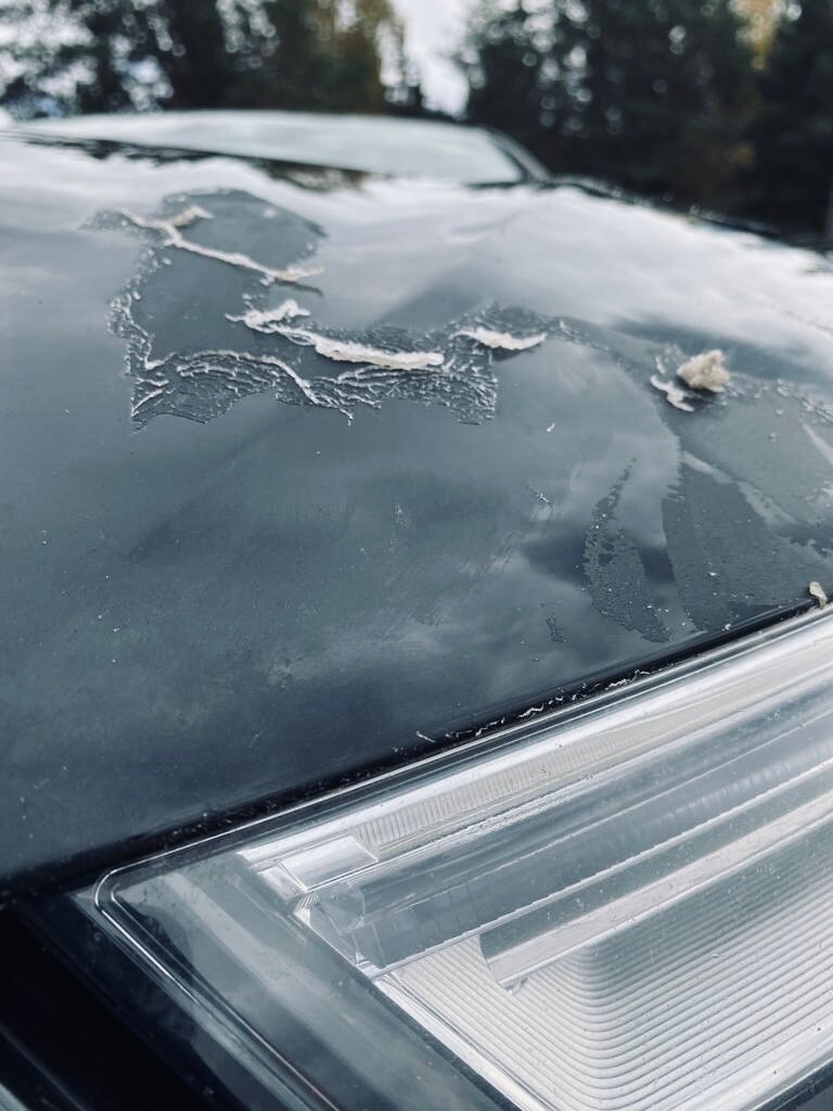 автомобиль, стекло, бу автомобили, авто, двойные стекла