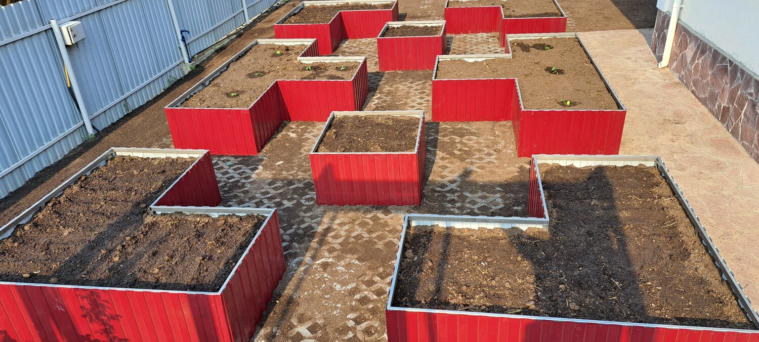 грядки на даче, грядка, ограждение для грядок, высокие грядки, садовые грядки