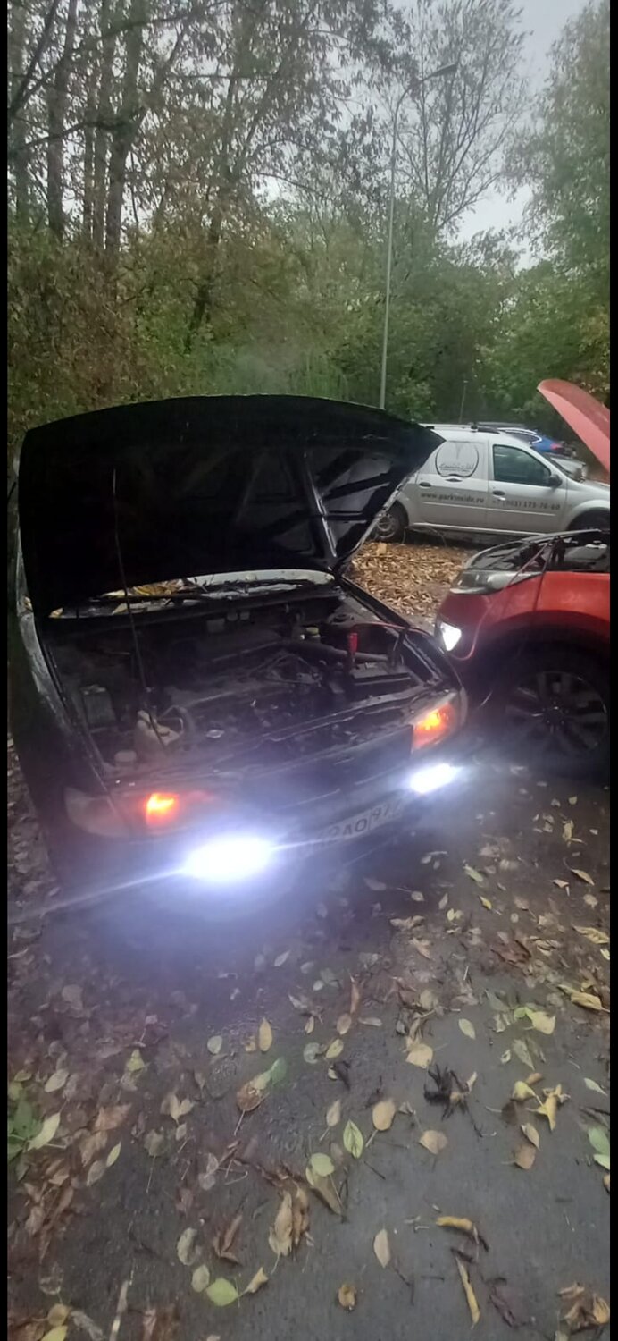 Ремонт электрооборудования авто в Москве: 120 автоэлектриков со средним ...