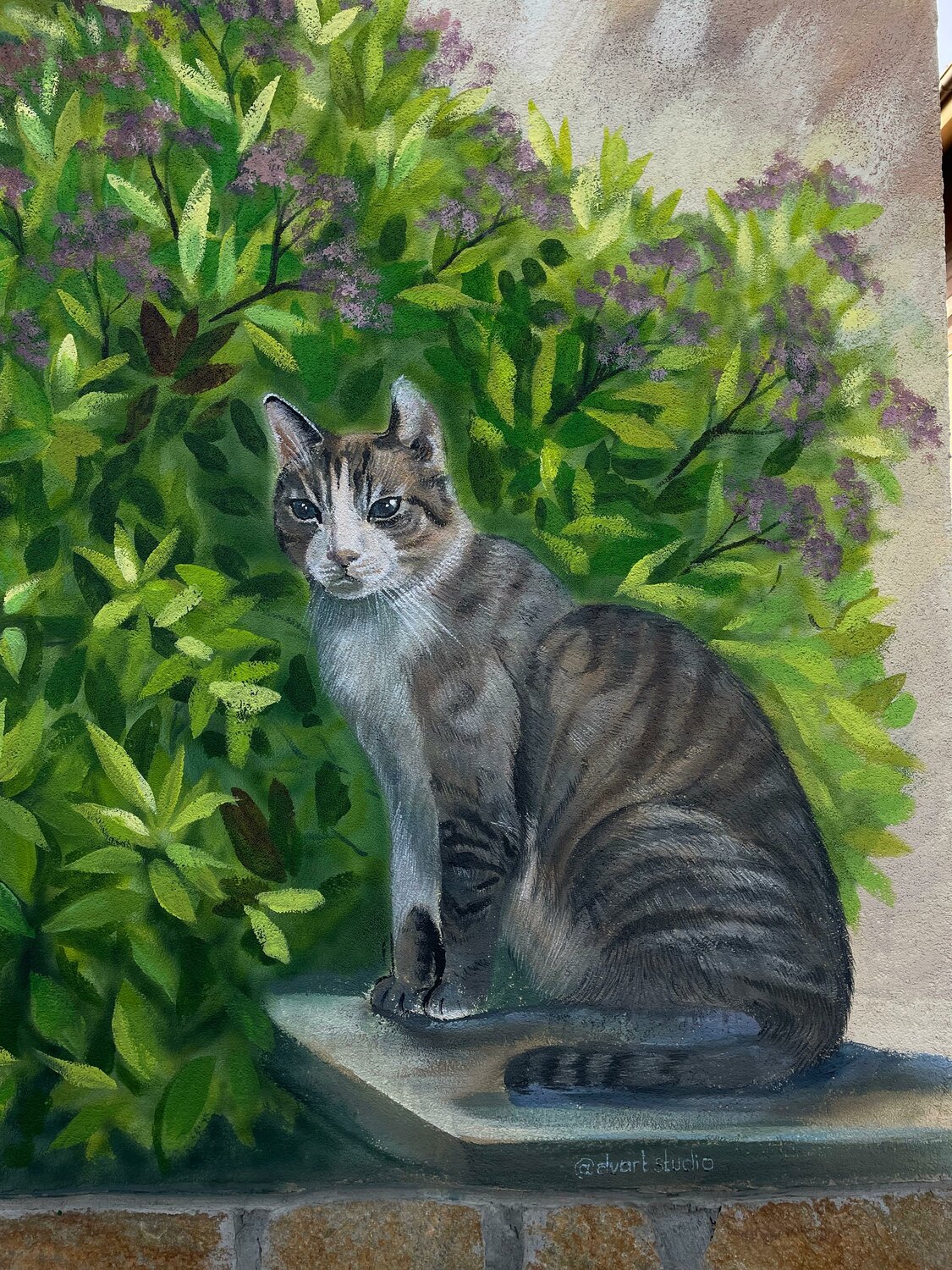 картина котик, кот картина, художник alain bonnec, кошка буся, коты художника владимира