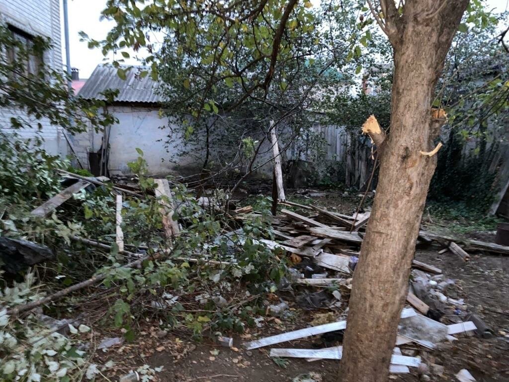 во дворе, дерев, в деревне, участок, плодовое дерево