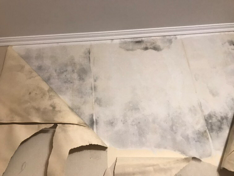 алессандро керамик мрамор carrara extra 60x60, мрамор, carrara marble, линолеум мрамор каррара, carrara 82604