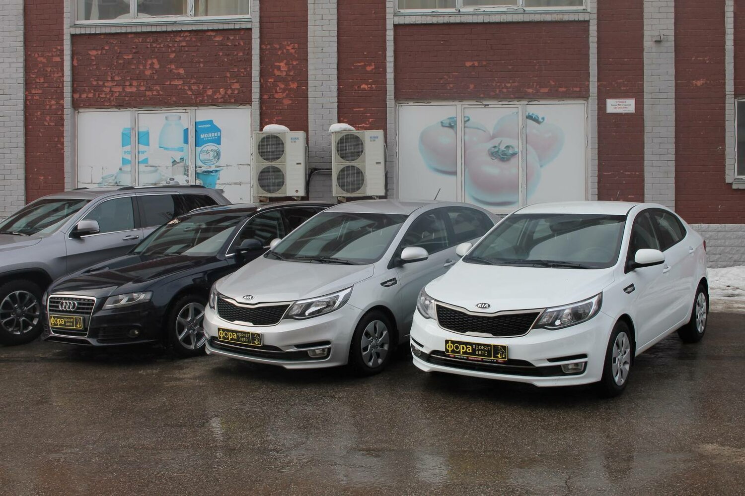 kia rio, kia rio 2015, kia rio iii рестайлинг, белый киа рио, машина kia rio