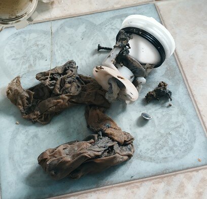 останки, мелкий предмет, предметы, мумифицированные останки солдат вов, preserved remains of animals перевод