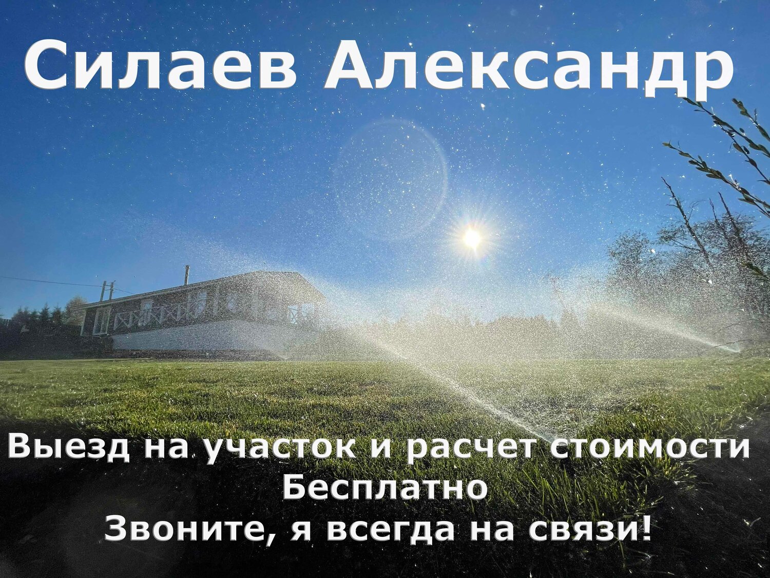 текст, природы, яблоня двудомное, растения, сухая трава