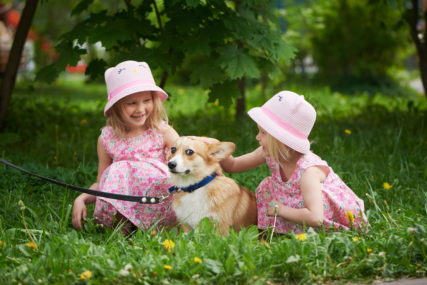 девочка с собакой, детская фотосессия, собака маленькая, собака ляля, веселые дети и животные