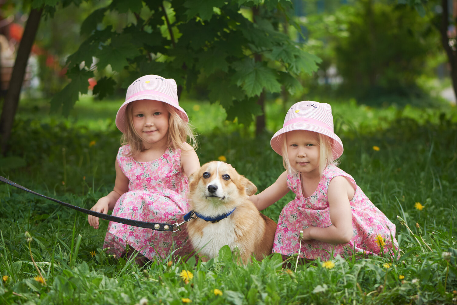 девочка с щенком, девушка с собакой, шпиц принц, шпиц мальчик, подросток девочка выгуливает собак