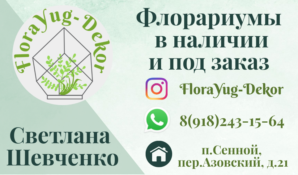 всемирный день вторичной переработки 15 ноября, логотип, логотип студии, логотипы компаний, экологическая акция