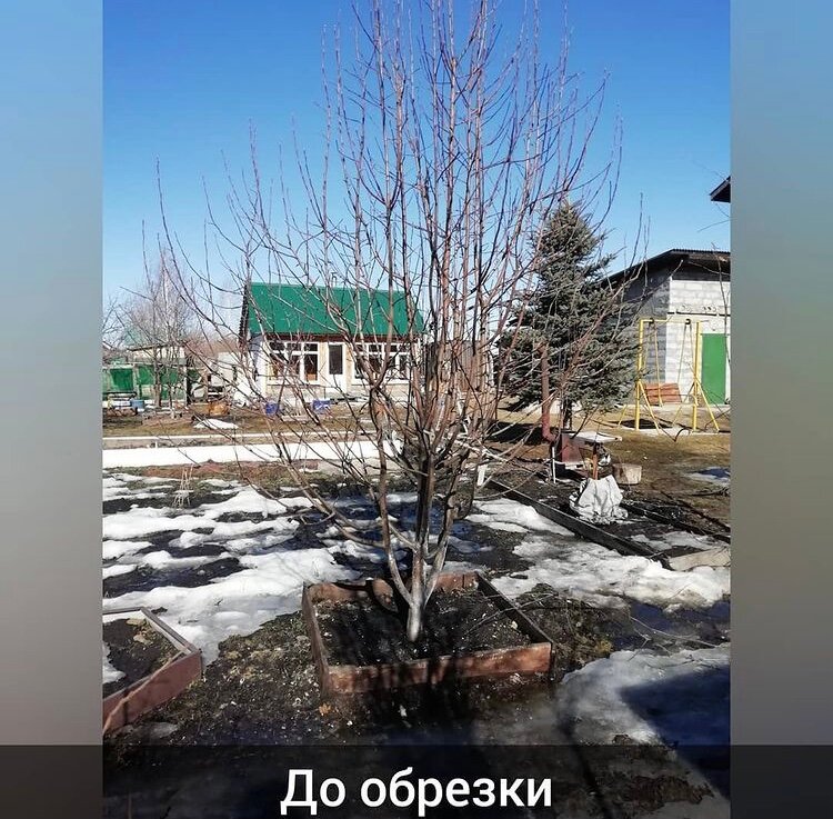 дачный участок, участок, дача, участок с домом, тюменская область, тюменский район, целинное снт, ул. калиновая