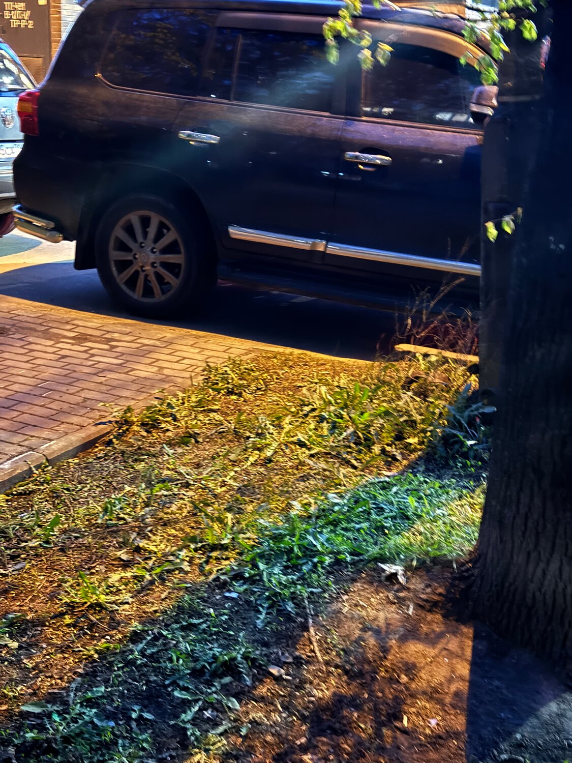 автомобиль, тойота ленд крузер 200, toyota land cruiser 200 series, на парковке, infiniti qx80 обои на рабочий стол
