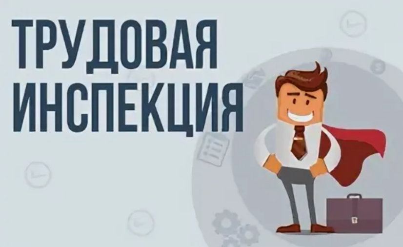 трудовая инспекция, проверка трудовой инспекции, подать жалобу в трудовую инспекцию, проверки гит, инспекция