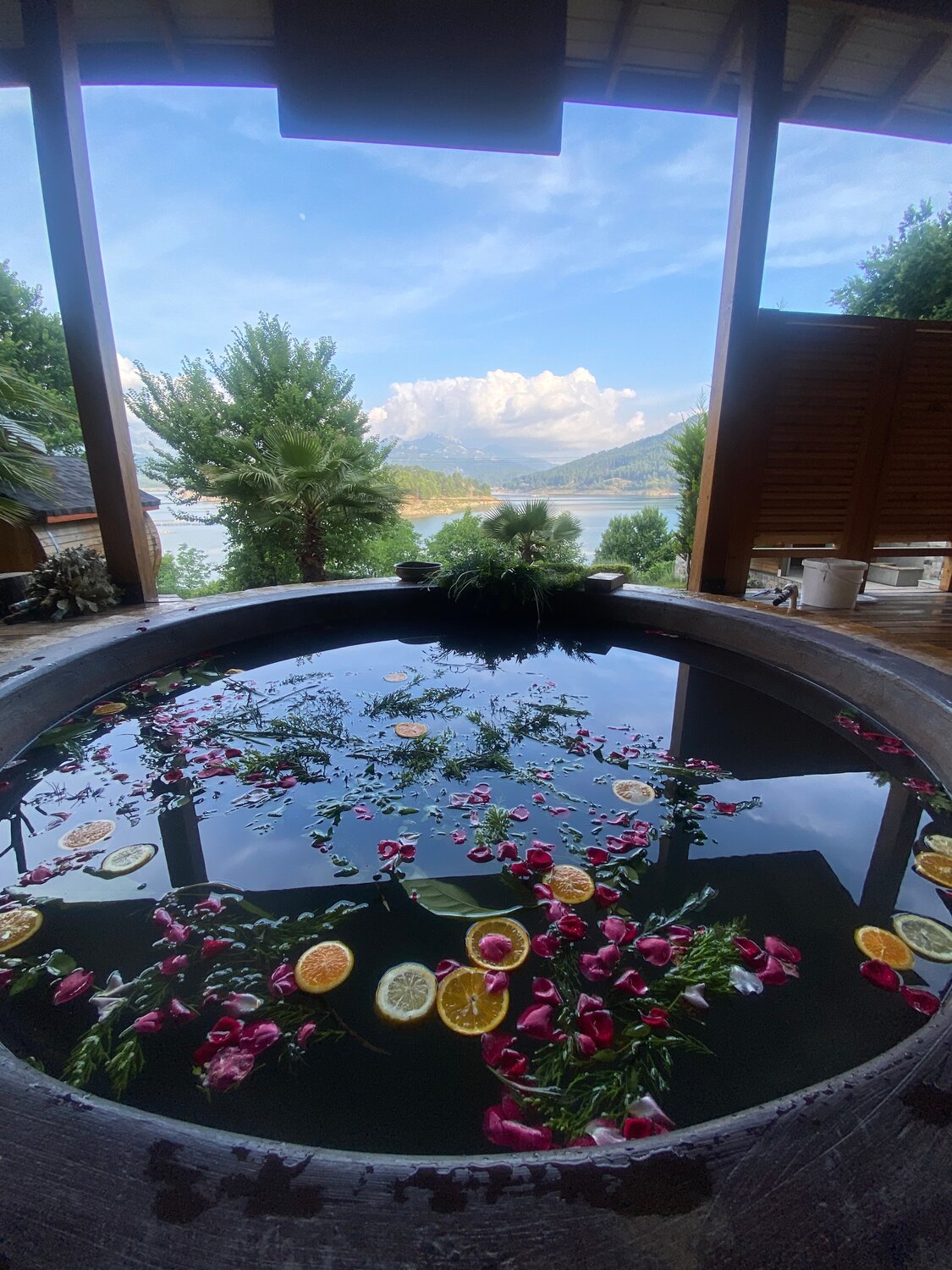 домашнее растение, hot pool, лучшие отели, банный чан, горячая купель