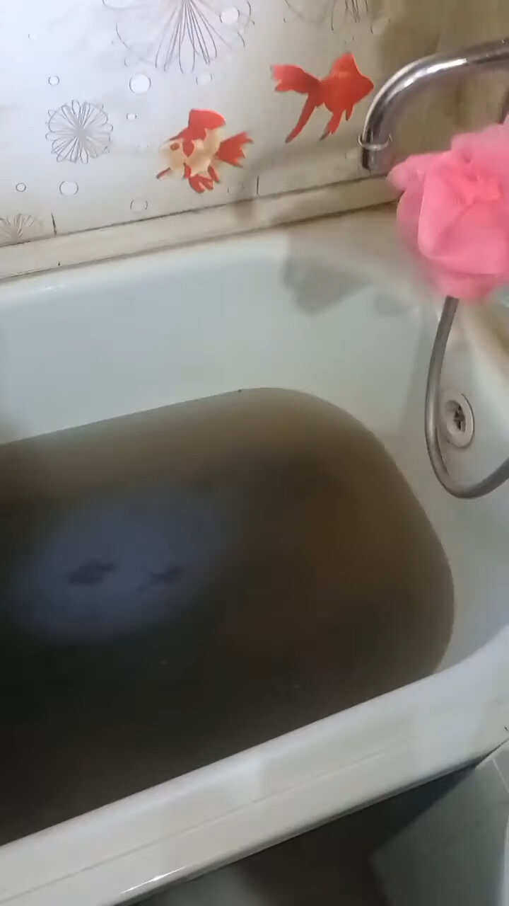 в ванной, вода в ванне, грязная ванна, ванная, грязная ванная
