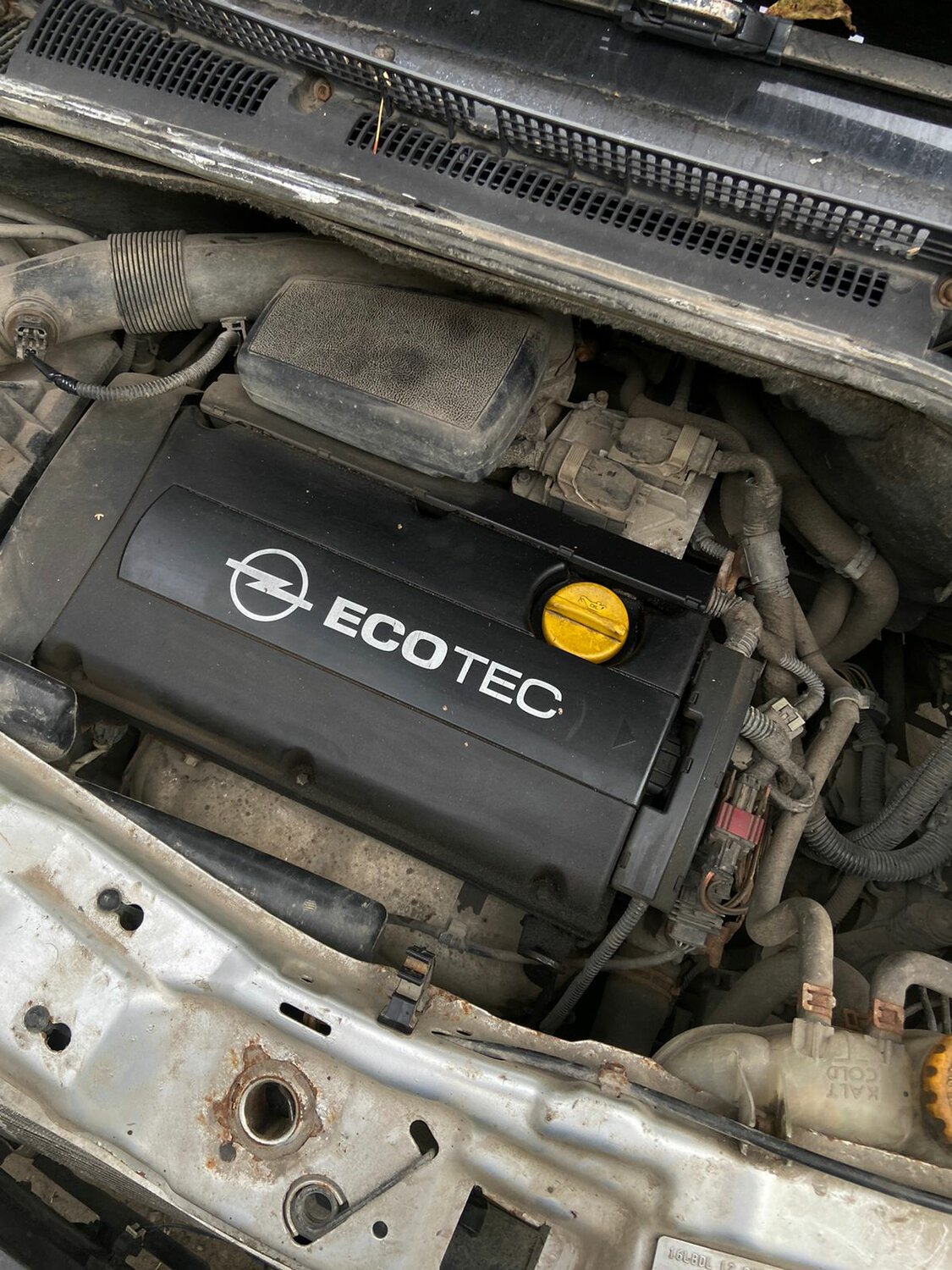 опель мерива двигатель z16xep, двигатель опель, двигатель opel z16xep, опель зафира а 2 0 дизель, двигатель опель астра