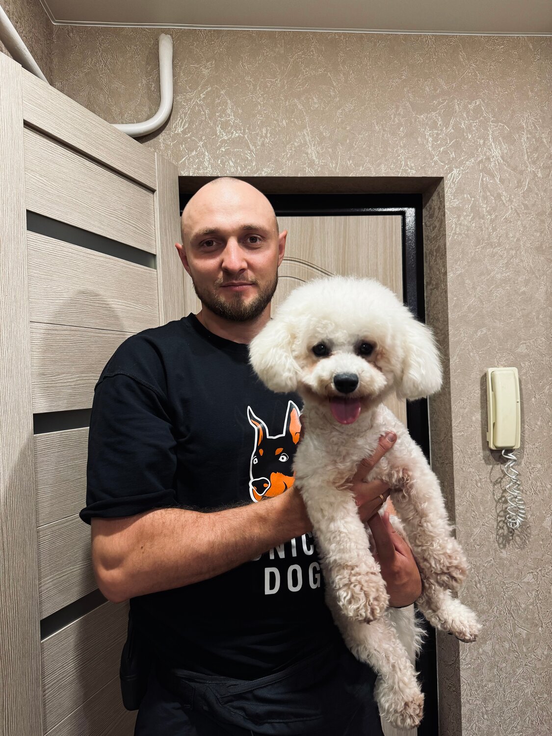 бишон фризе, порода бишон фризе, пудель, стрижка бишон фризе, собака пудель