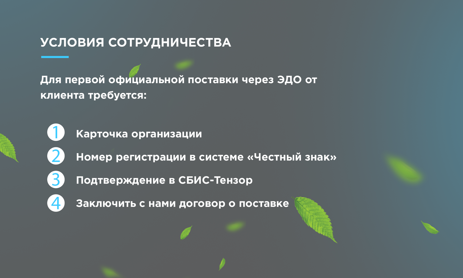 условия сотрудничества, варианты сотрудничества, экран телефона, франчайзи партнер, текст