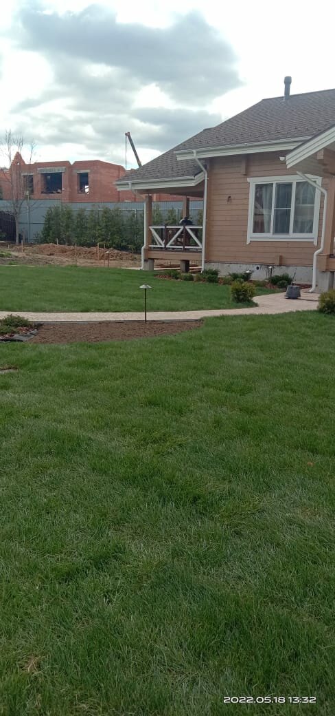 газон, газон до после, ландшафтный дизайн, посадка газона, grass lawn