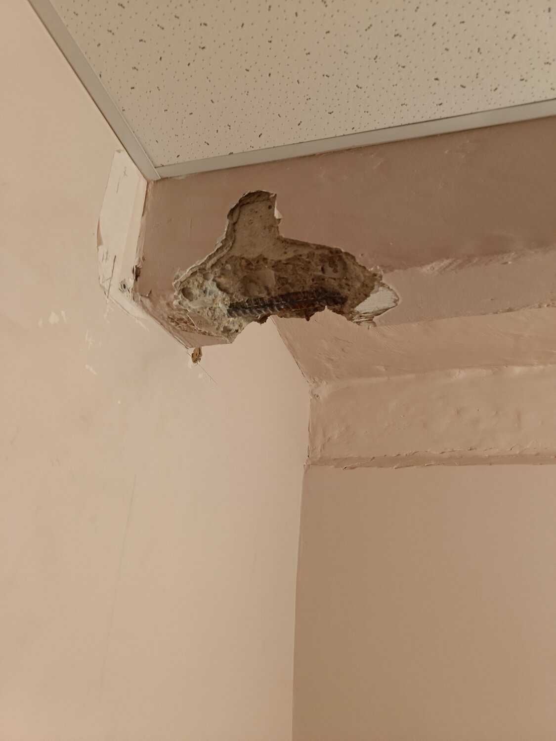 обвалилась штукатурка с потолка, шпаклевка потолка, трещины на потолке, потолок, протечка потолка