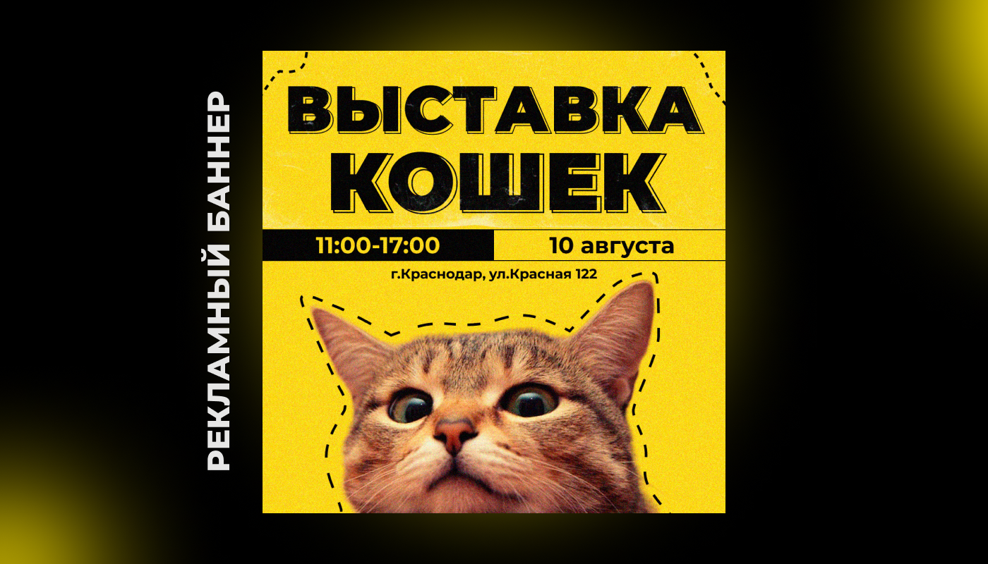 выставка кошек в москве, кот, выставка кошек, кошка, выставка кошек в элисте