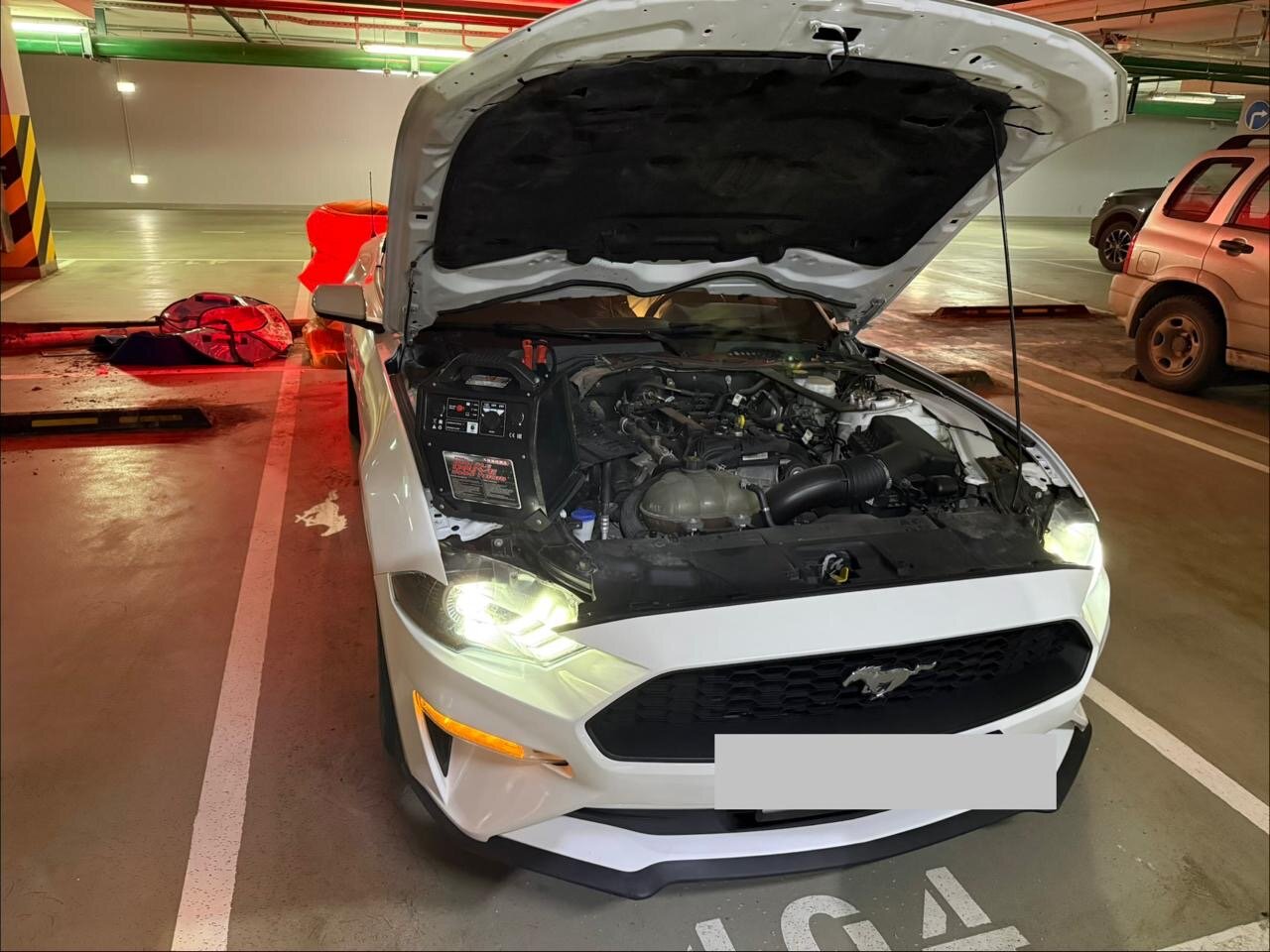 ford mustang 2, ford mustang vi, ford mustang 6, ford mustang 1, ford mustang 2019