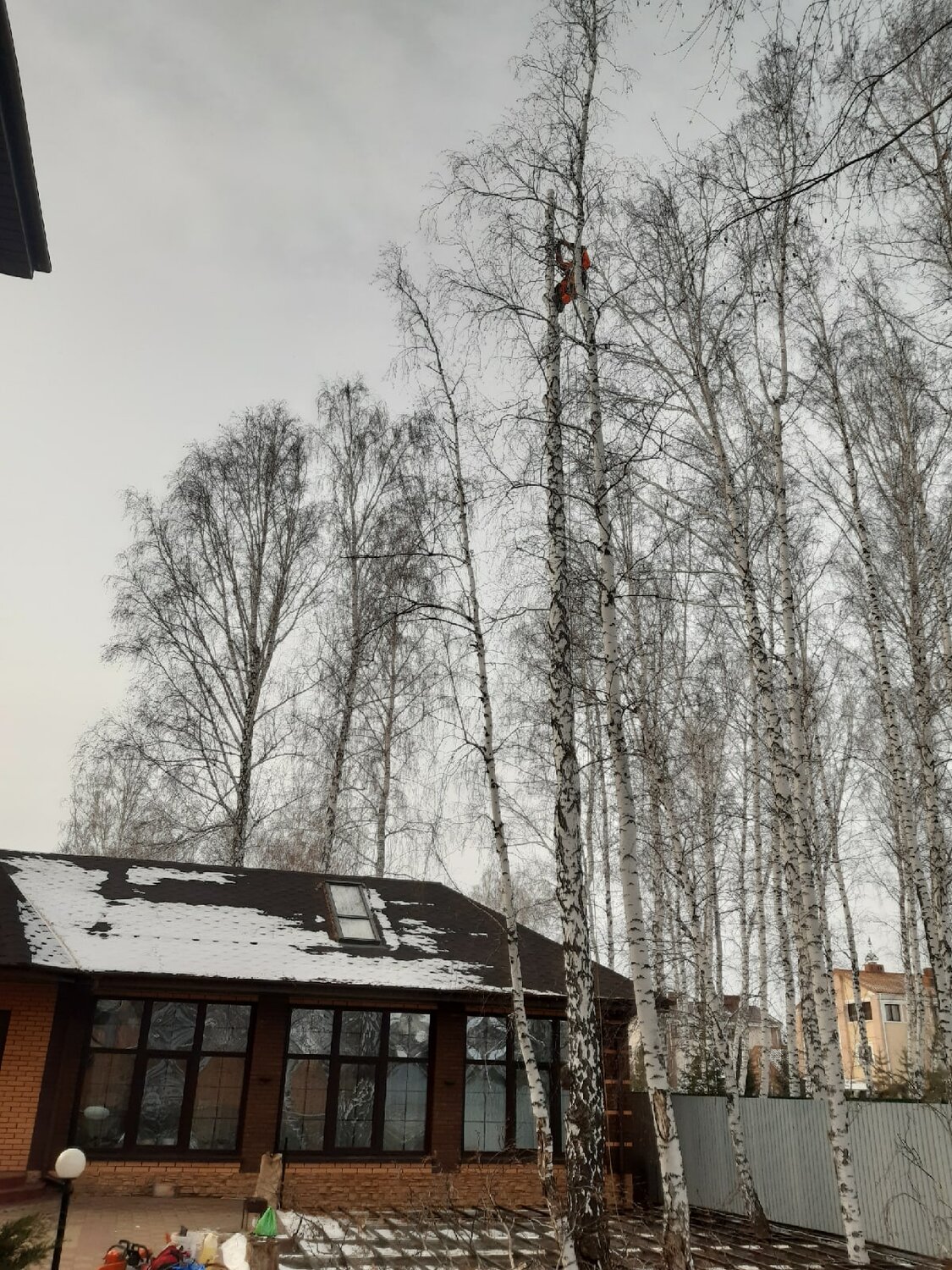 в деревне, береза, посёлки, участок, дом