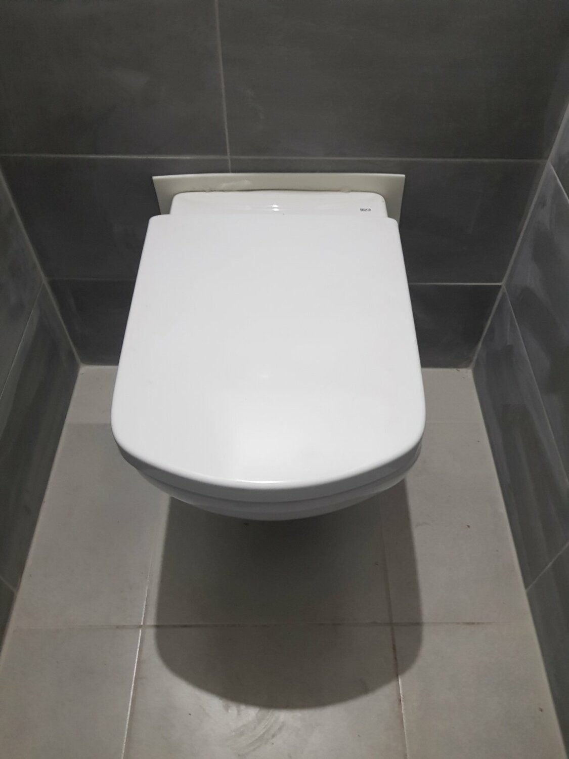 ашан санузел туалет, сиденье для унитаза dinoplast alaska, цвет белый, унитаз, крышка для унитаза, сиденье для унитаза