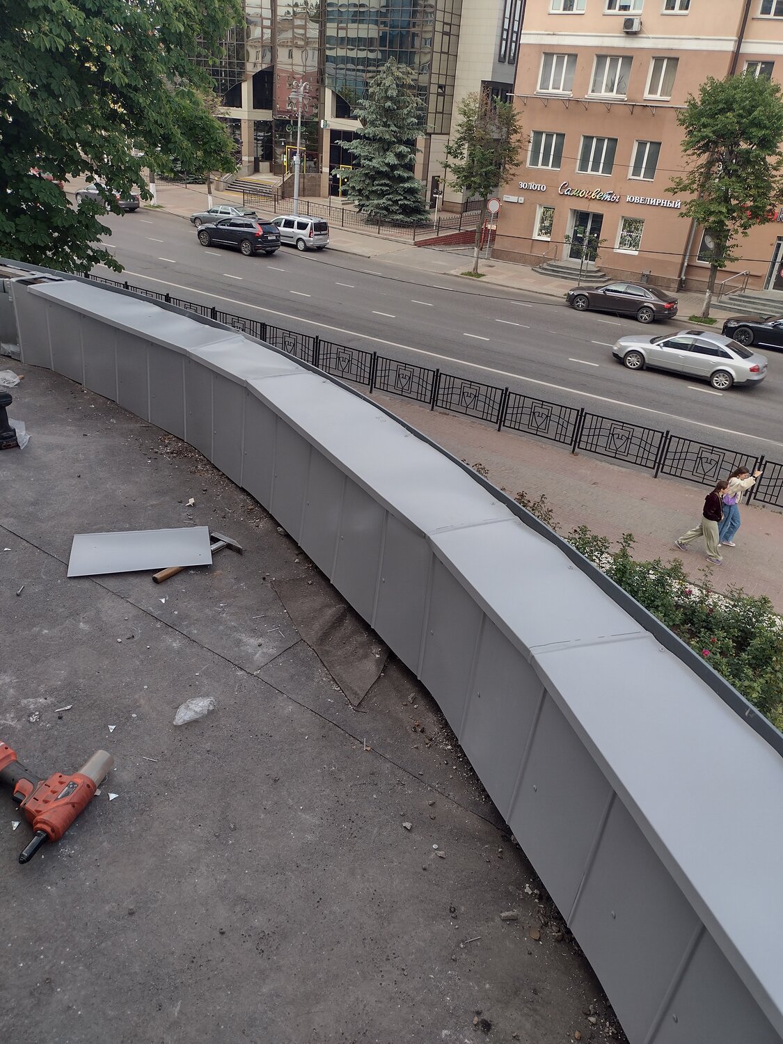 дорога, крыши, пешеходный мост, павильон ластоногие в московском зоопарке, отлив на крыше многоэтажного здания