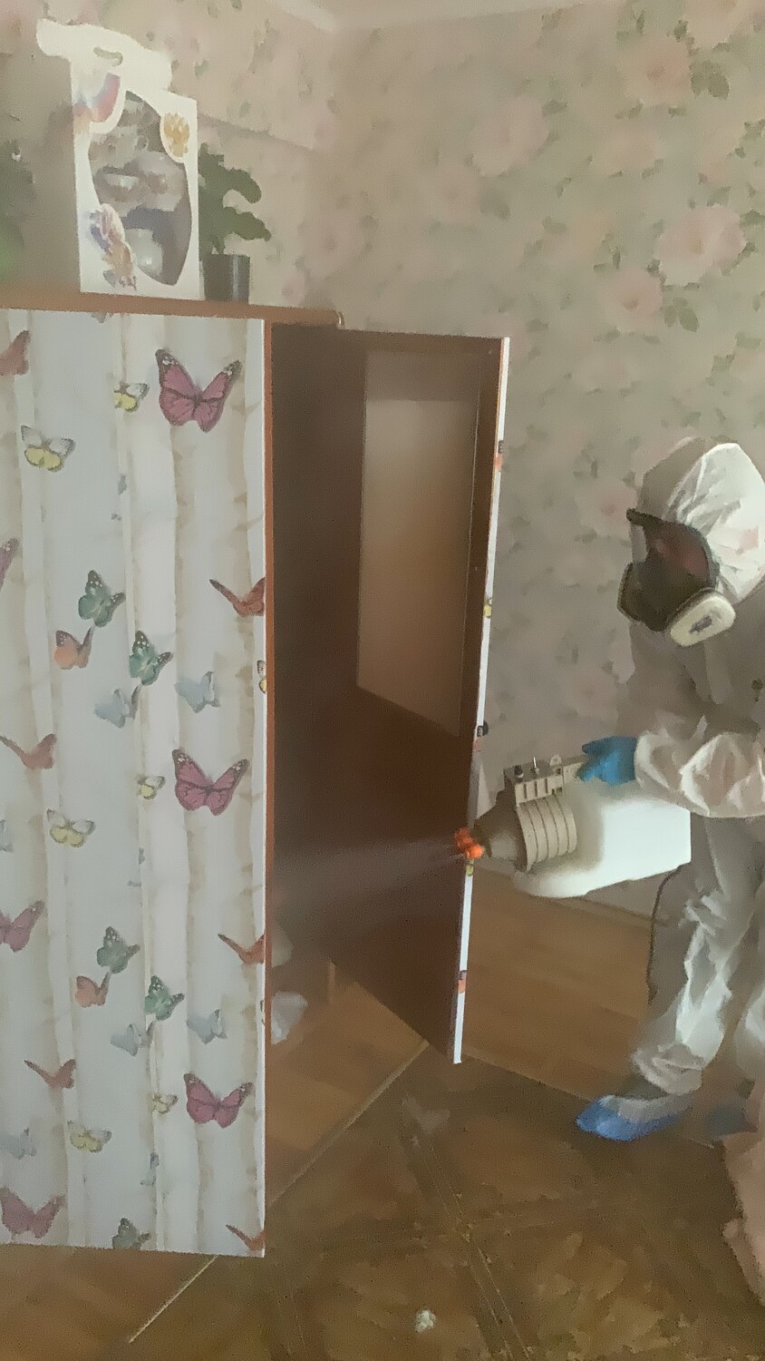 дезинсекция, уничтожение клопов, дезинсекция от клопов холодным туманом, дезинфекция клопов, дезинфекция
