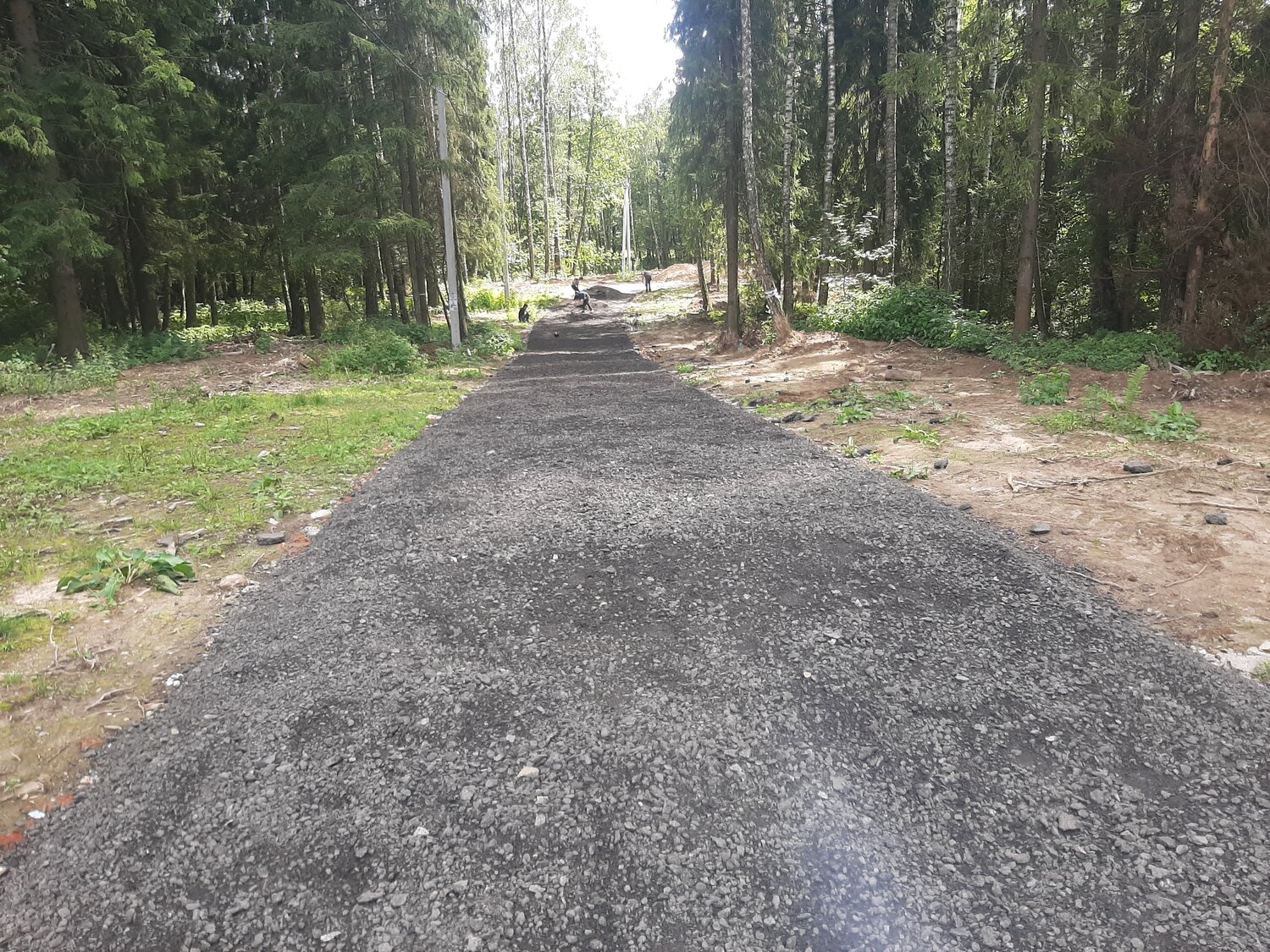 асфальт дорога, асфальтирование, асфальт, асфальтовое покрытие, дорога из асфальтовой крошки