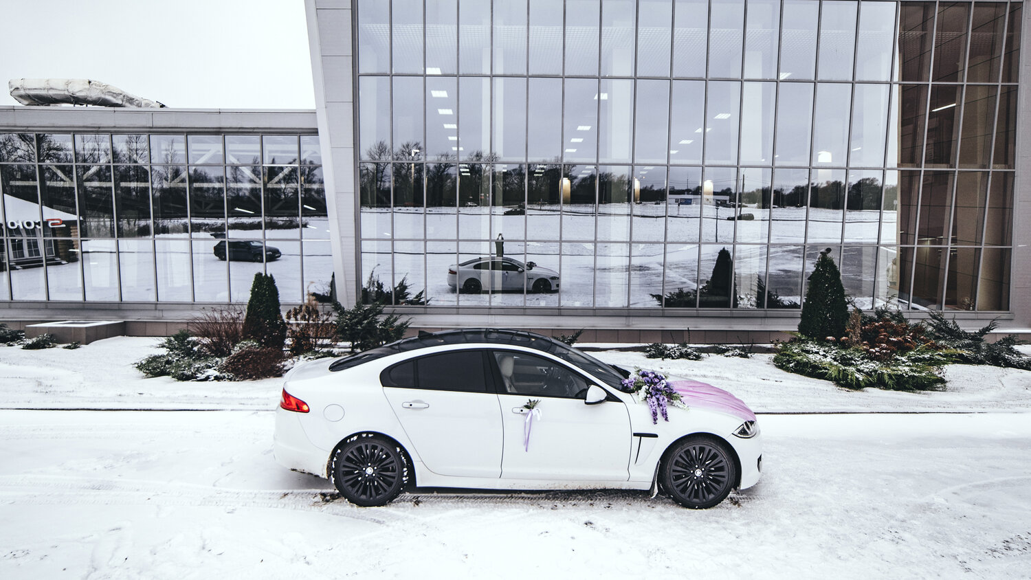авто на свадьбу, свадебное авто, авто, украшение свадебного авто, украшение свадебного автомобиля