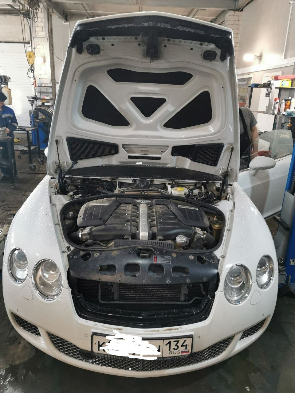 bentley continental gt, bentley motors, бентли континенталь гт, бентли континенталь, бентли континенталь gt вин