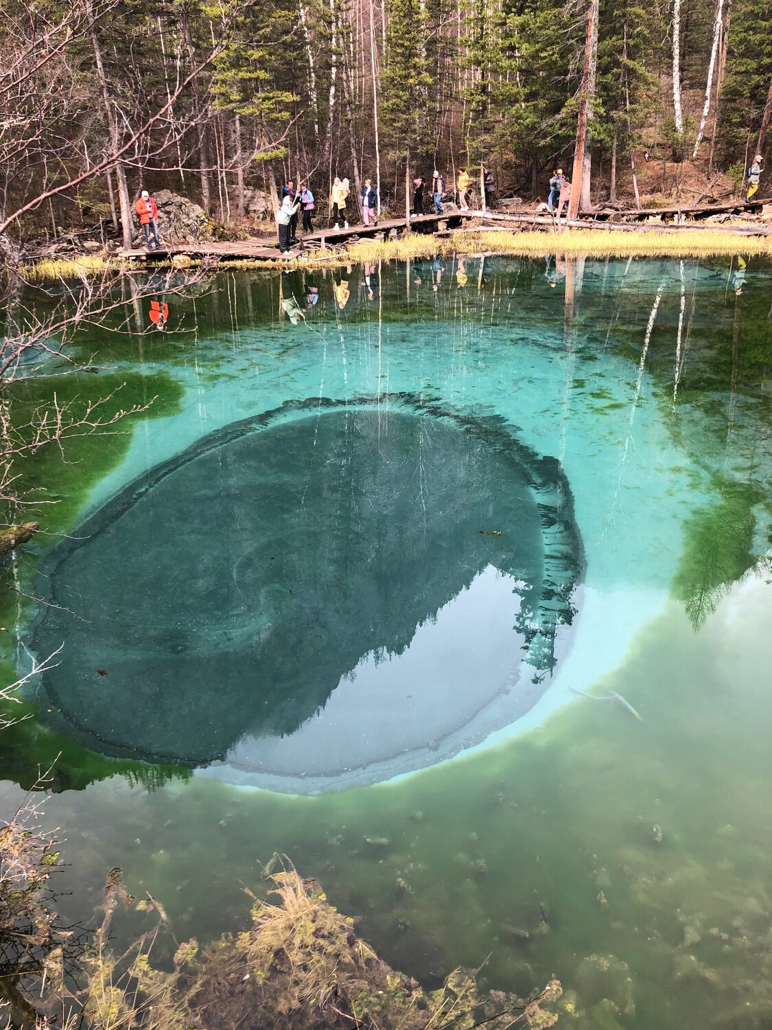 Трансфер в Горно-Алтайске: 64 водителя пассажирского транспорта со ...