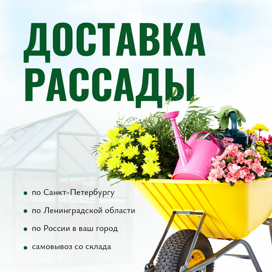 баннер для магазина сад огород, для сада и огорода, садовые товары, садовод, товары для дачи и сада