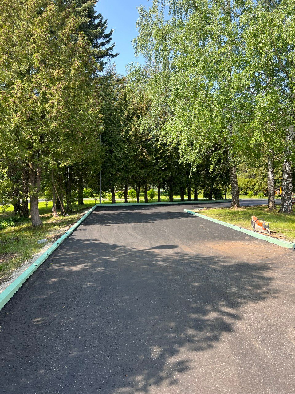 парк, екатеринбург парк, городской парк, парк кирова, сад