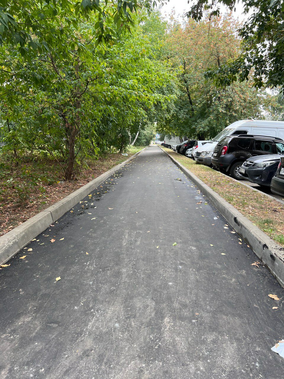 двор, асфальт, тротуар, новый асфальт, дорога и тротуар