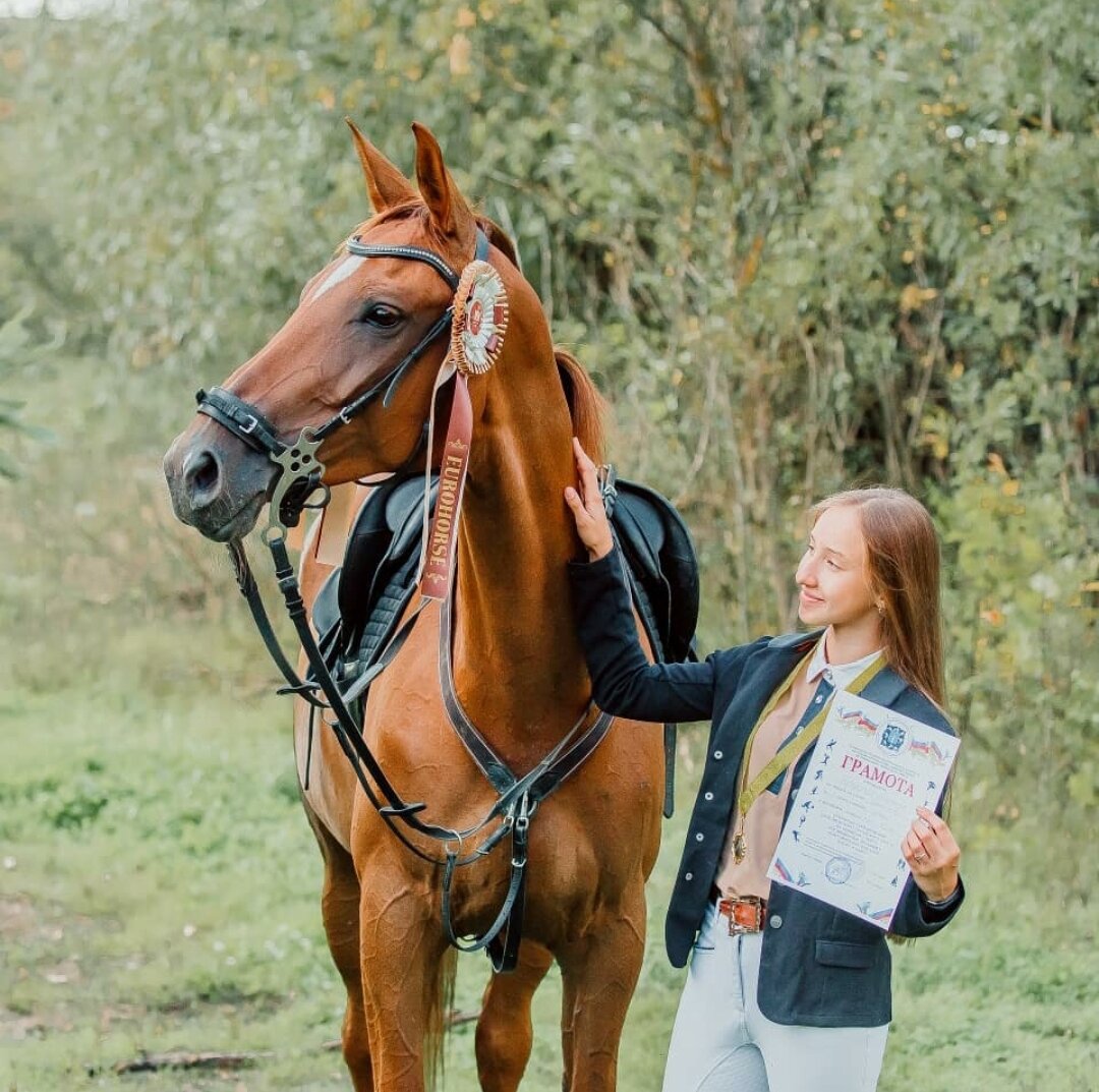 прогулка на лошадях, человек, девочка, катание на лошадях, конные прогулки