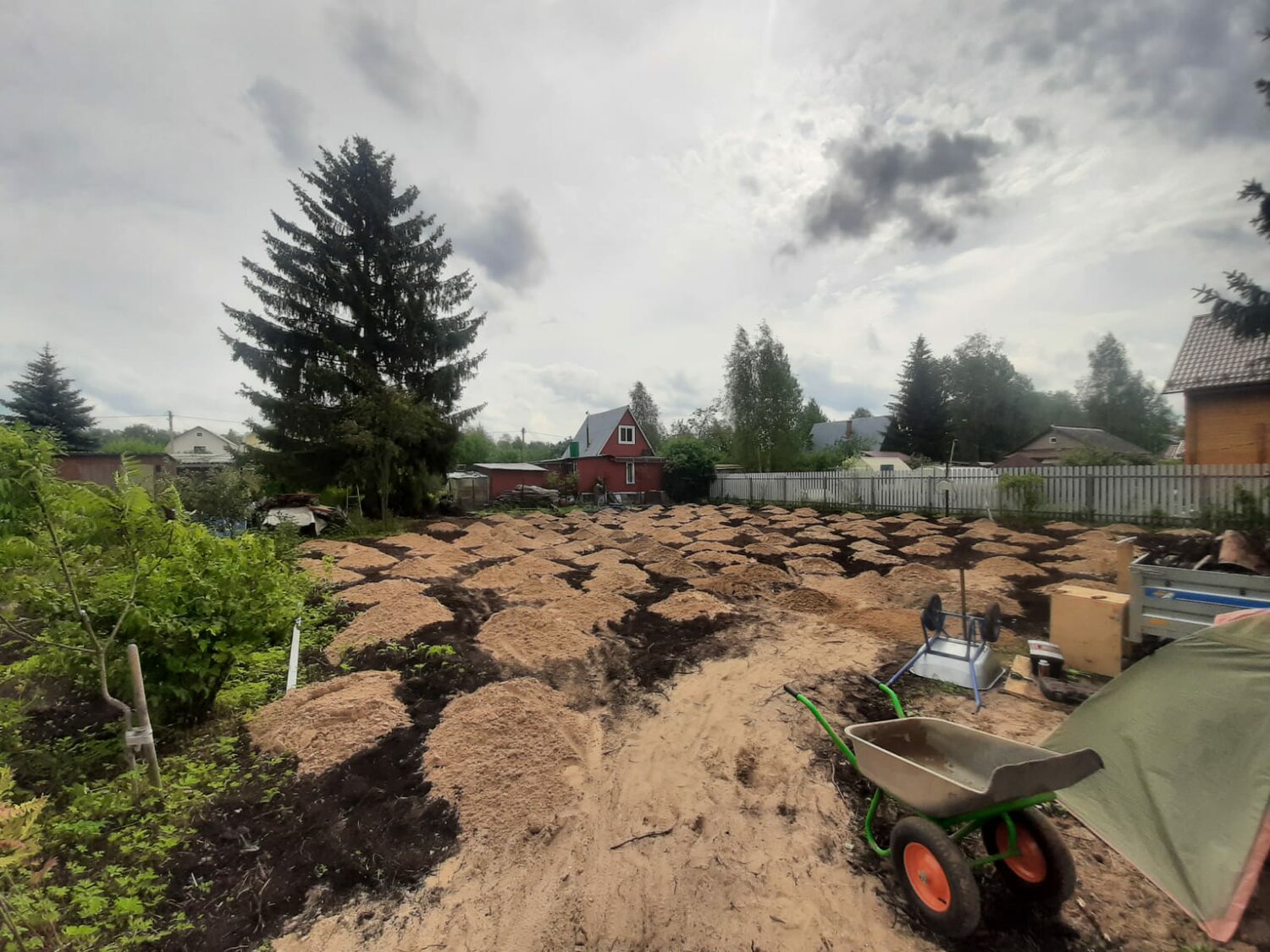 Никита Перевозчиков - Хозяйство и уборка, Уход за садом и огородом ...